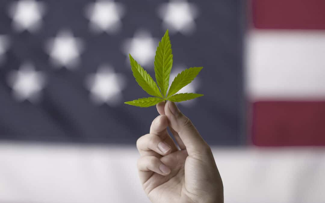 Financial Challenges Threaten Cannabis Multistate Operators